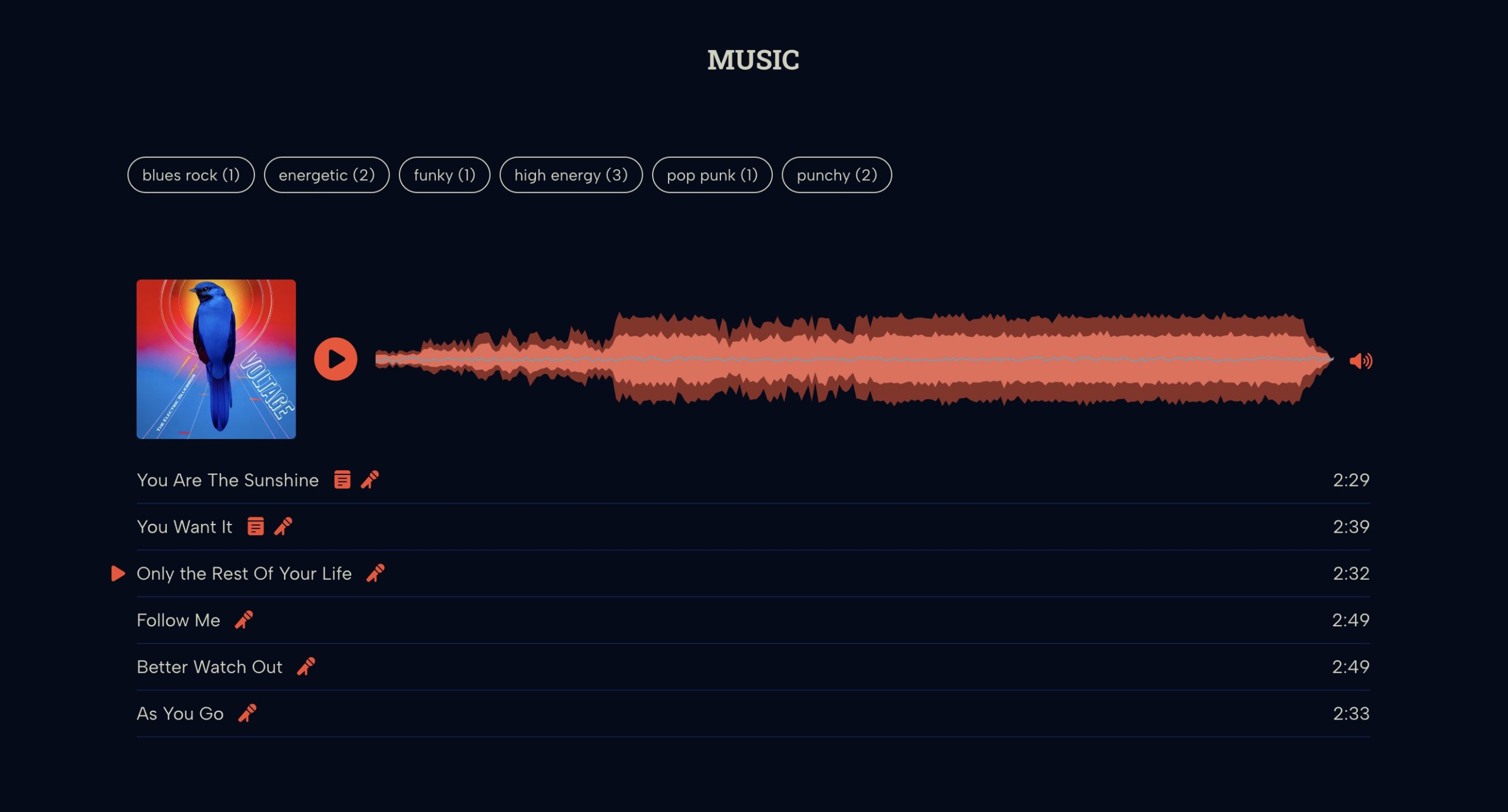 Example of a musician EPK made with ReelCrafter
